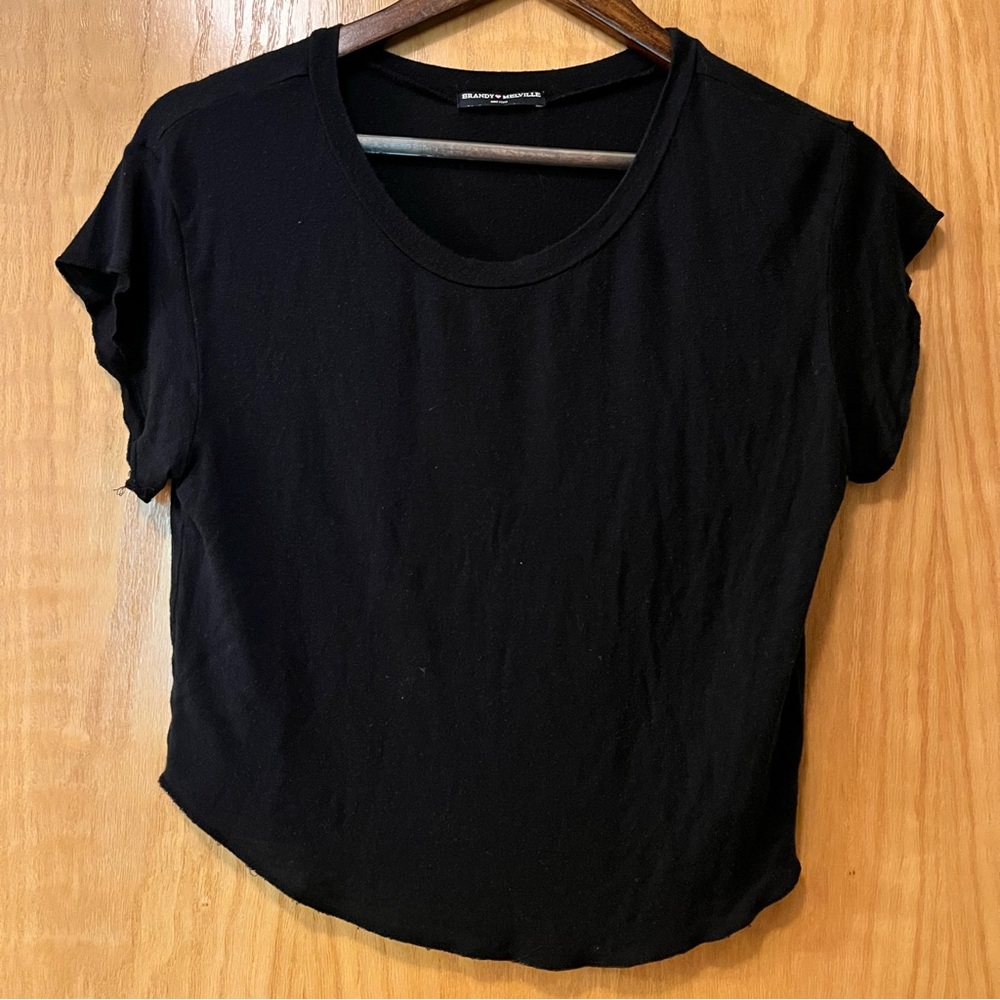 Brandy Melville Black Crop Top